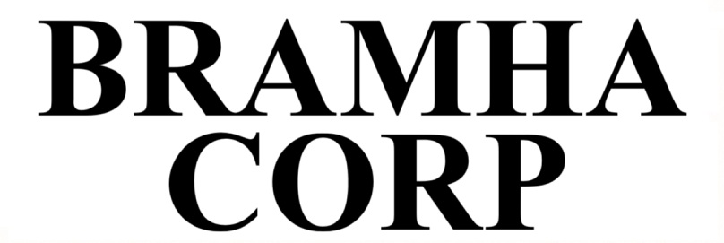 Bramha Sun Valley Logo